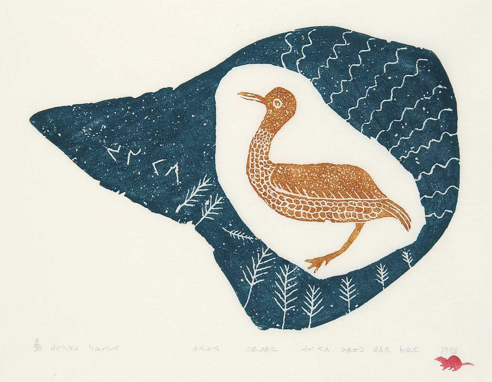 Papialuk - A Small Bird #11/30