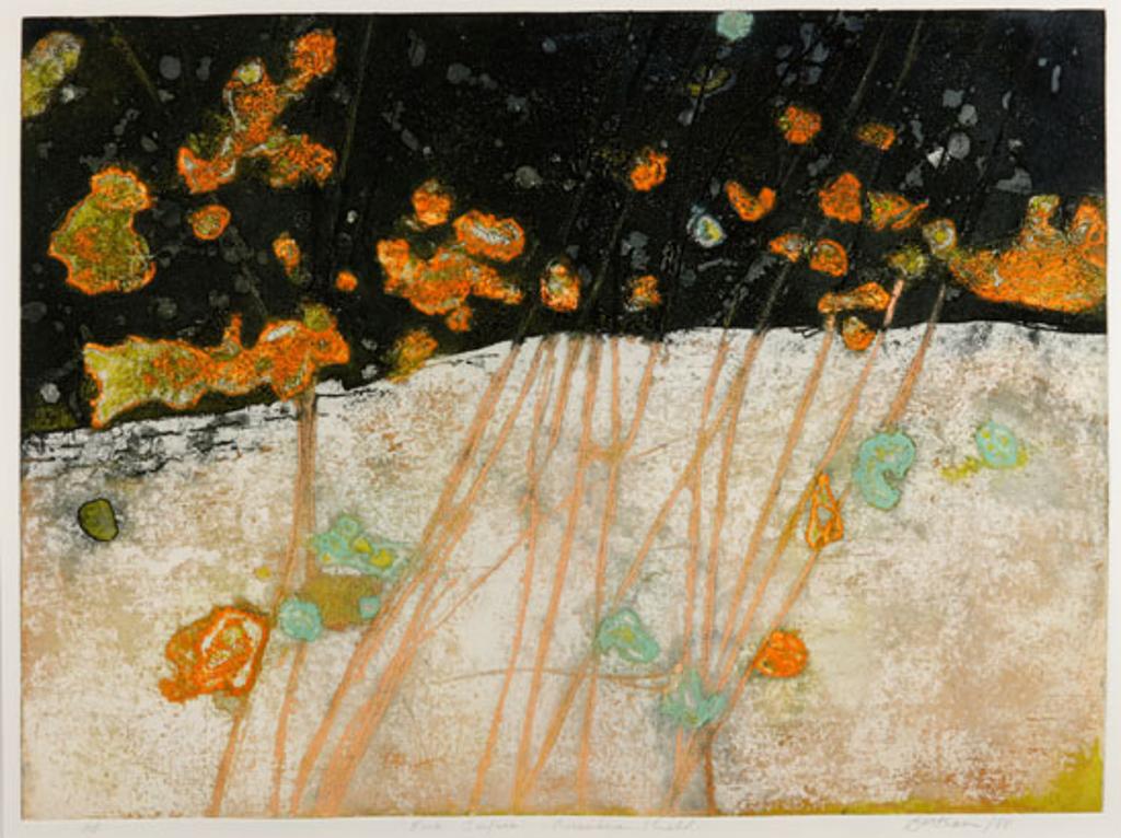 Edward John (Ted) Bartram (1938-2019) - Rock Surface Precambrian Sheid (03564/463)