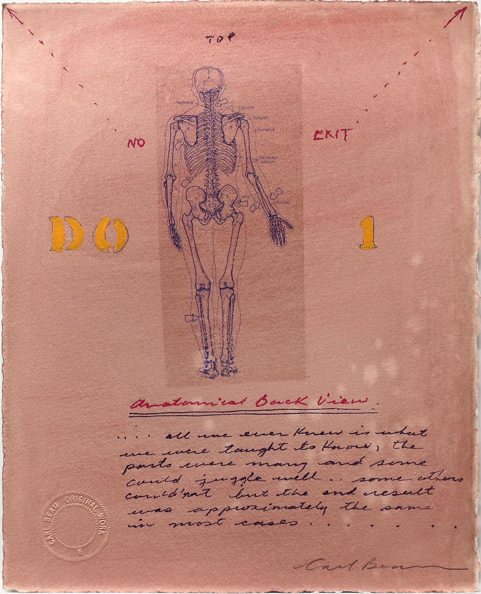 Carl Beam (1943-2005) - Anatomical Back View