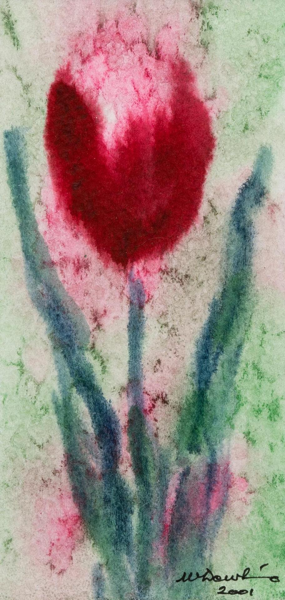 William Dowhaniuk - Untitled - Tulip