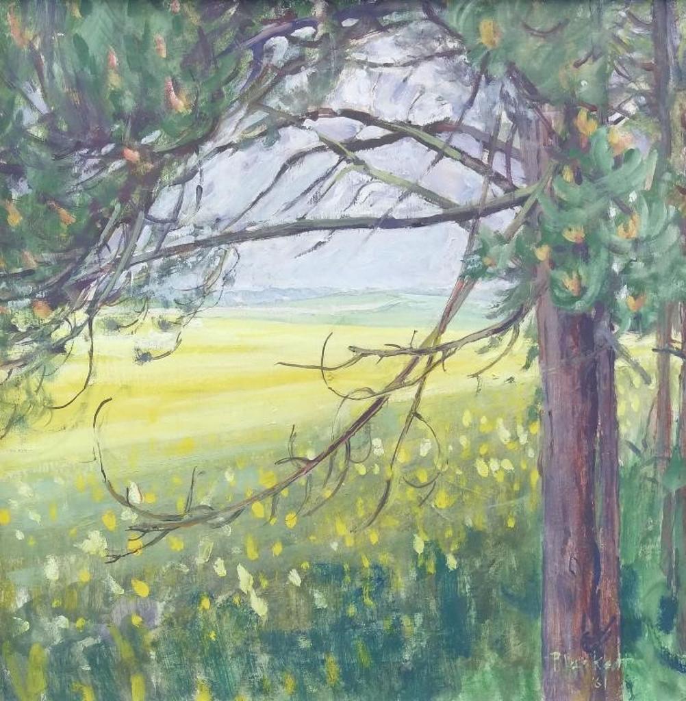 Joseph (Joe) Francis Plaskett (1918-2014) - The Colsa Field, France, 1981