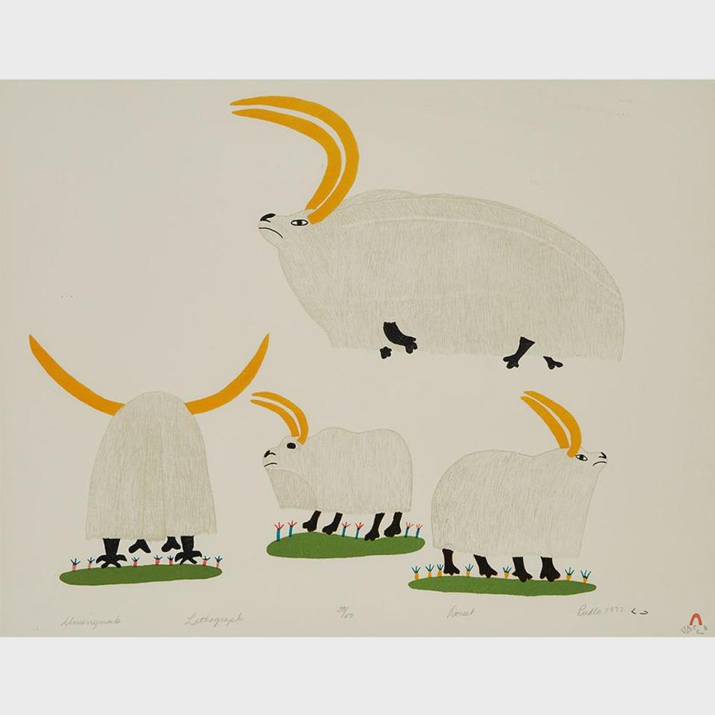 Pudlo Pudlat (1916-1992) - Umingmuk