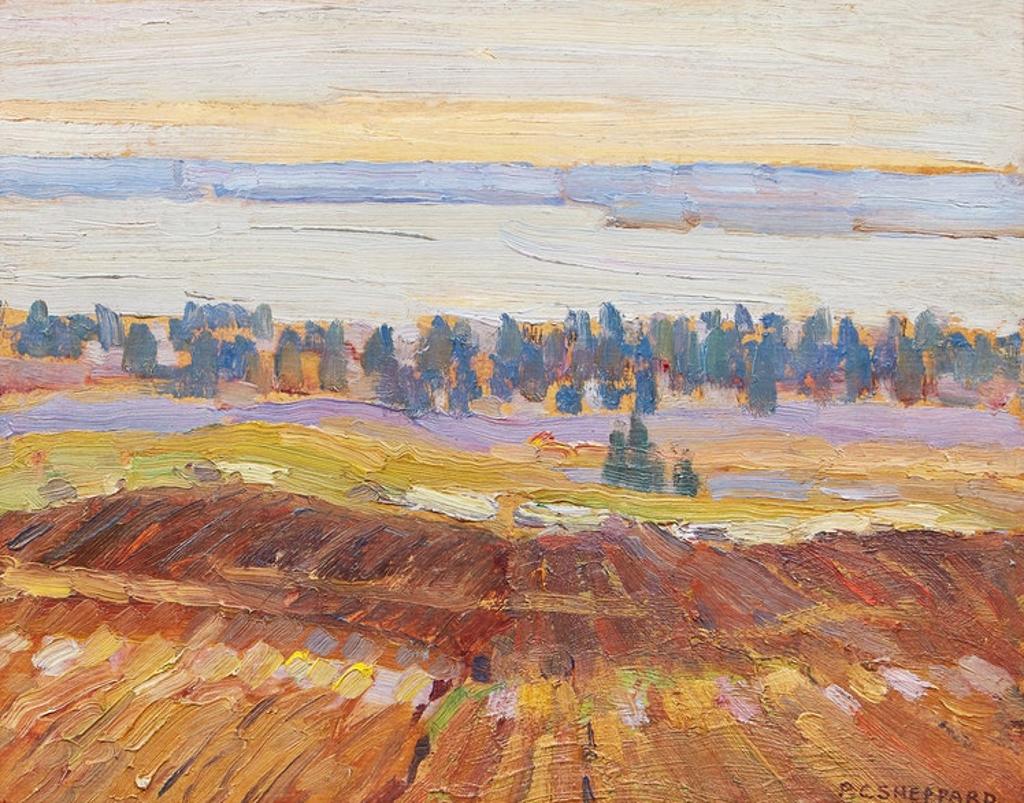 Peter Clapham (P.C.) Sheppard (1882-1965) - Field and Distant Lake