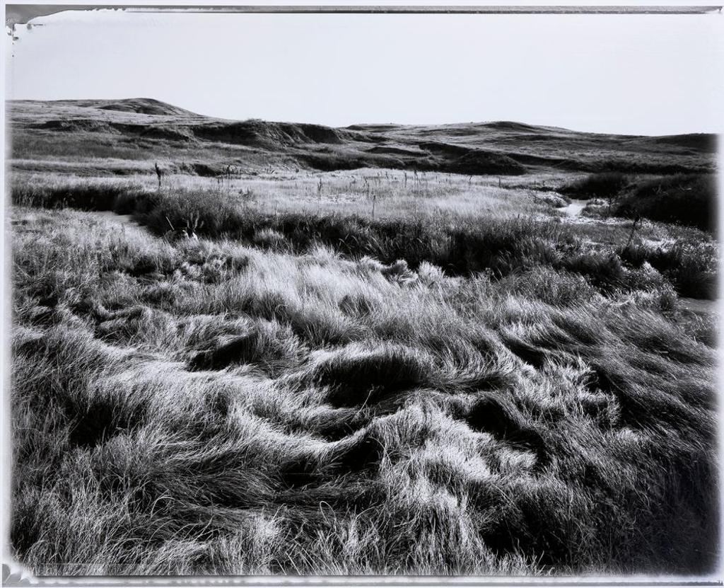 Don Hall (1952) - Grasslands East Block