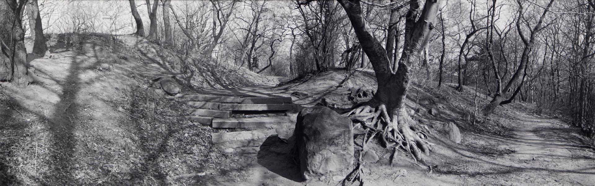 Geoffrey James (1942) - The East Meadow, Central Park, 1991