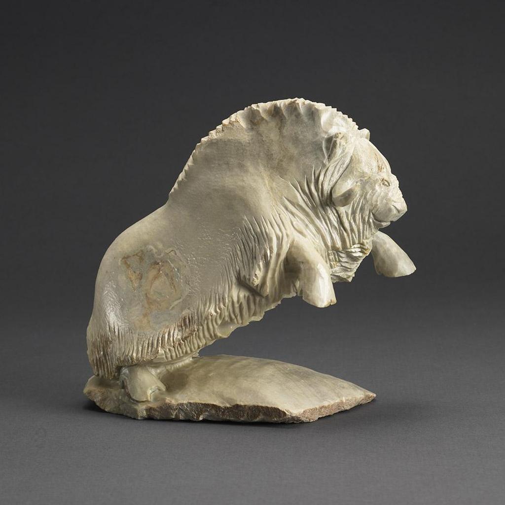 Bobby Anavilok - Musk Ox