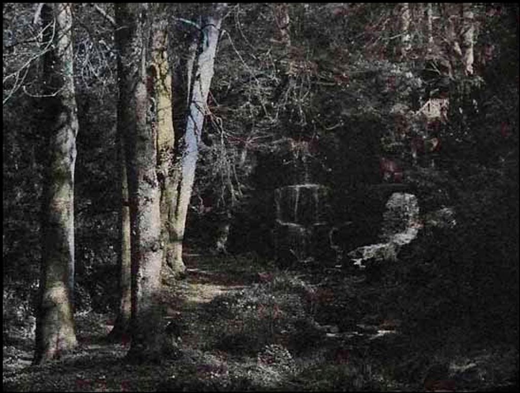 Jennifer Joan Dickson (1936) - Dappled Sunlight, Bowood (01549/2013-2355)
