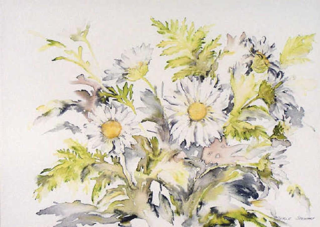 Merle Stewart - Untitled, Daisies