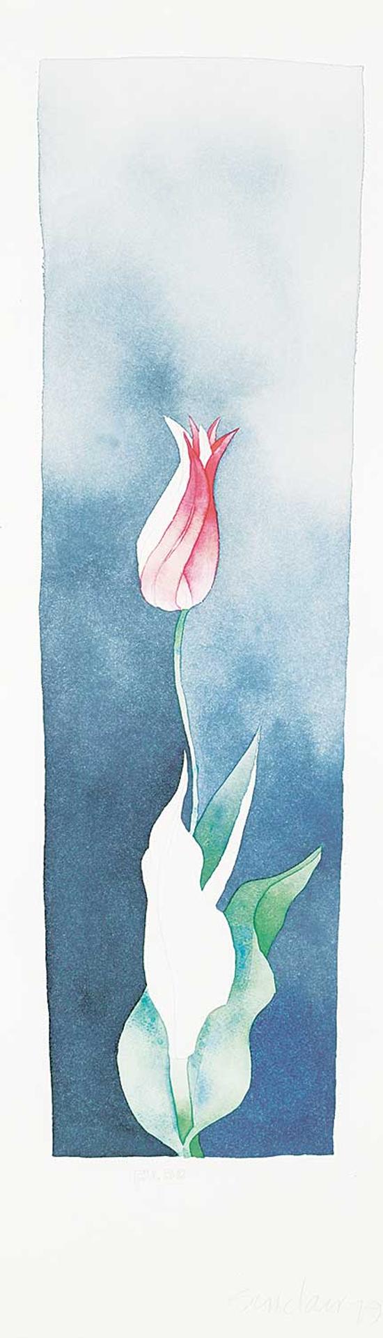 Robert William Sinclair (1939) - Tulip