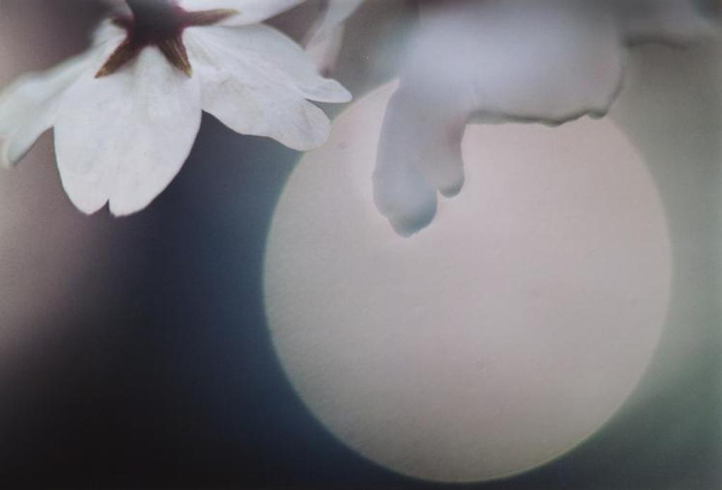 Courtney Milne (1943-2010) - Cosmic Mountain, Peaches of Immortality