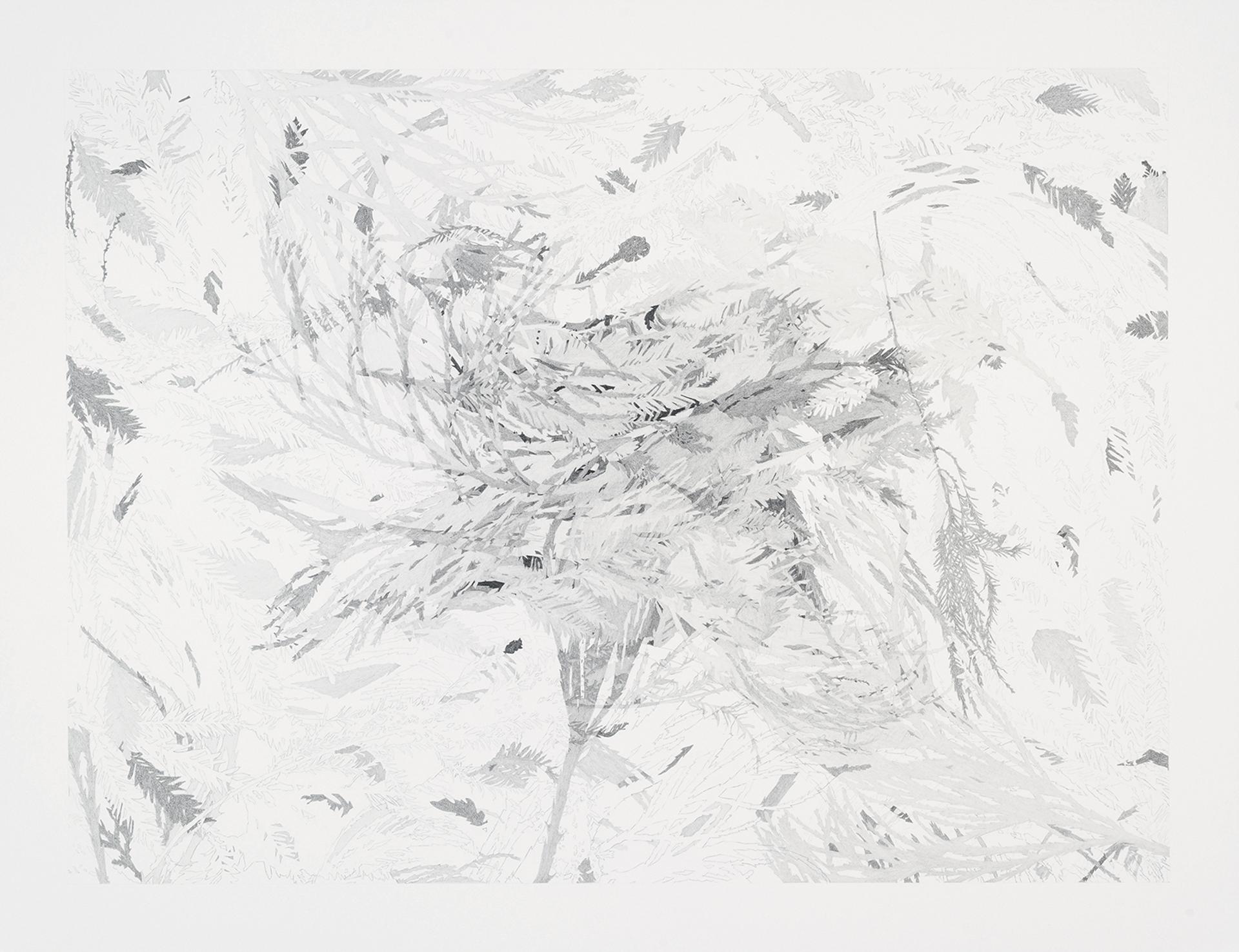 Émilie Bernard - Les sentiers I, 2019