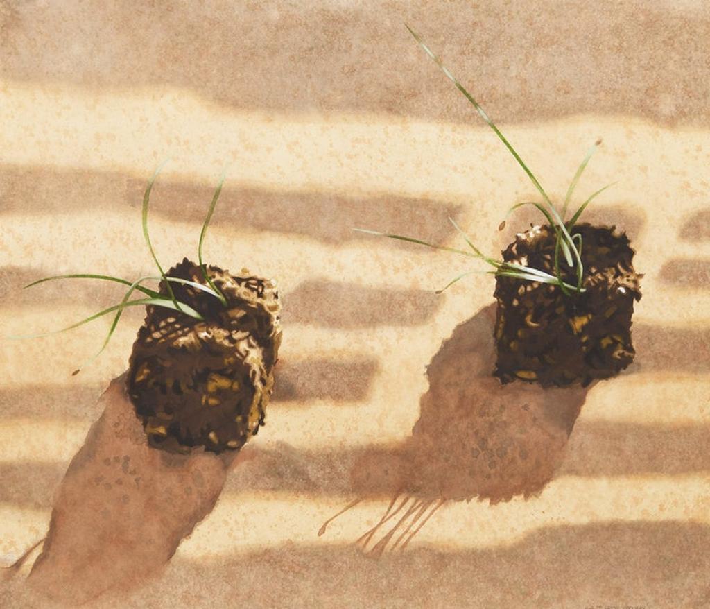 Lenni Workman (1949) - Notation Leeks