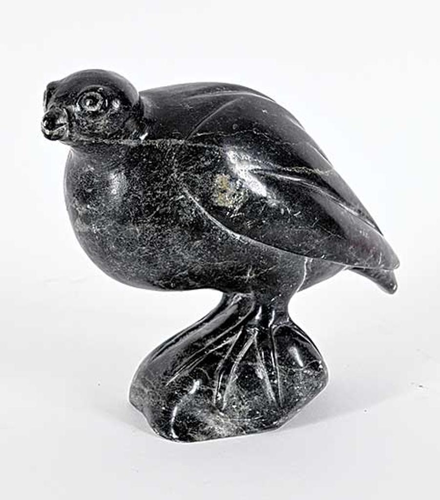 Levikonta - Untitled - Perching Ptarmigan