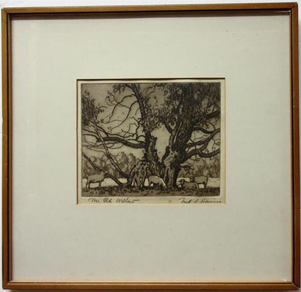 Frederick Stanley Haines (1879-1960) - The Old Willow