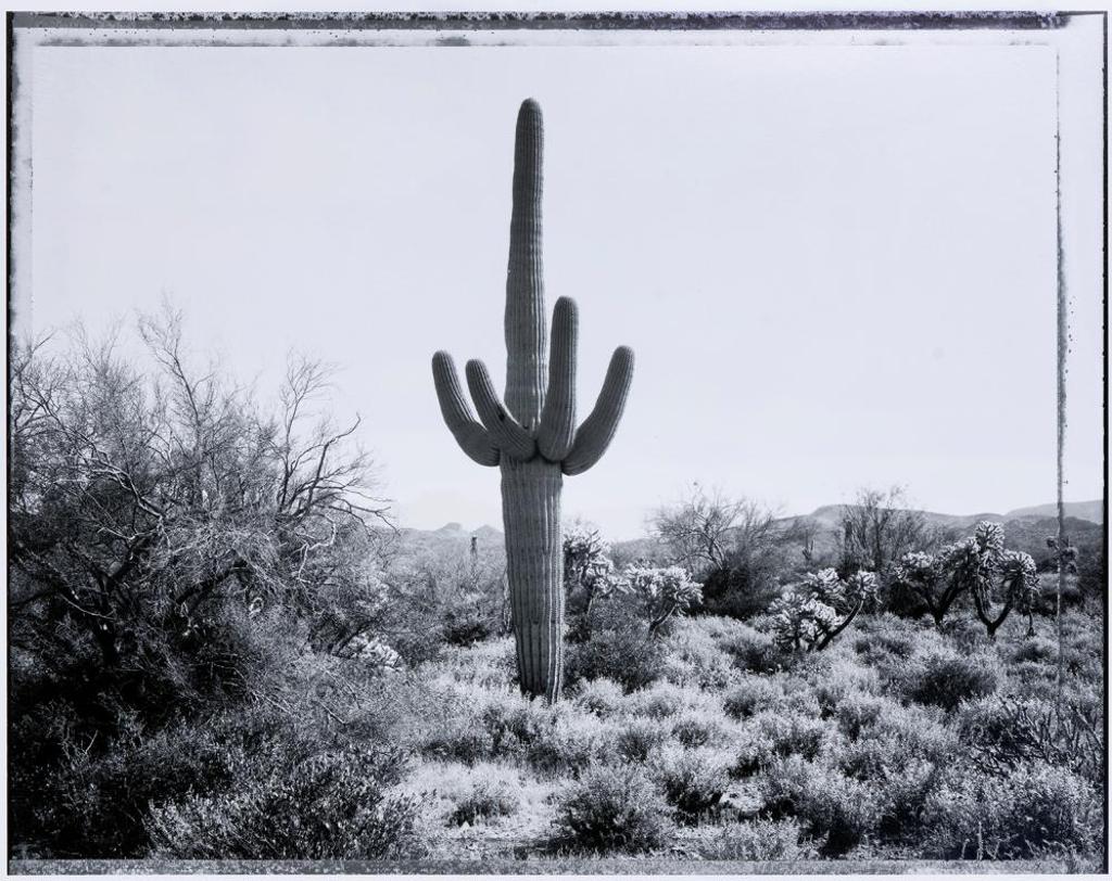 Don Hall (1952) - Arizona