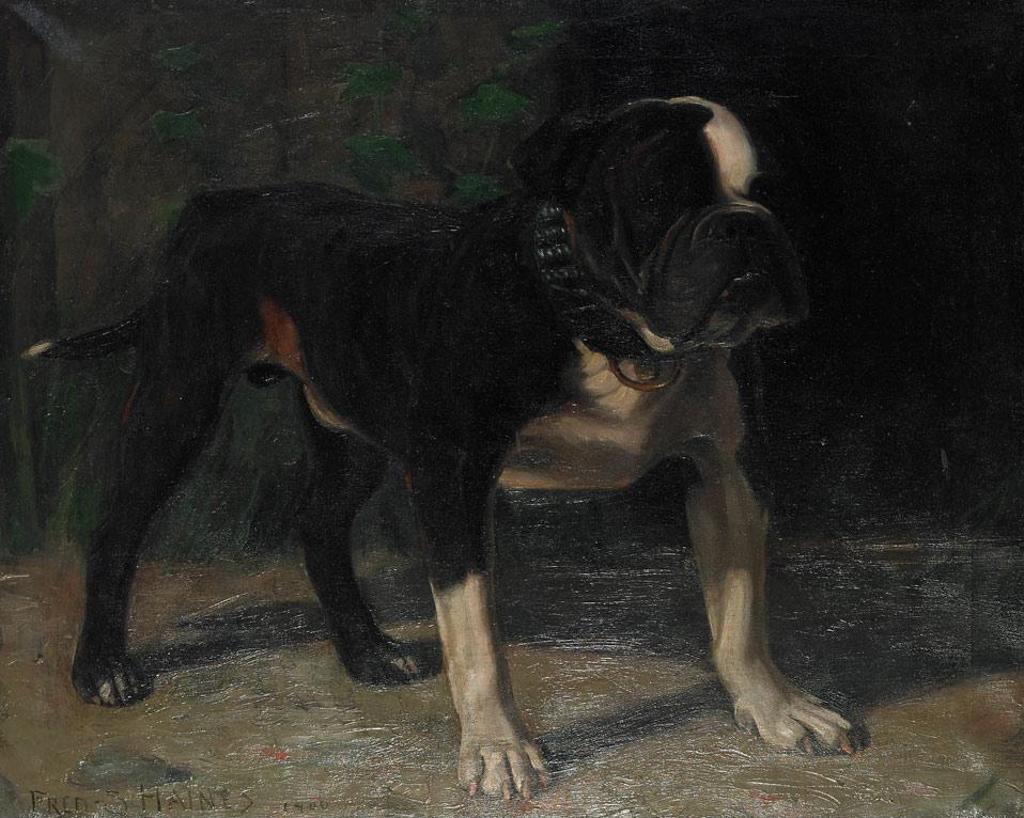 Frederick Stanley Haines (1879-1960) - Tony