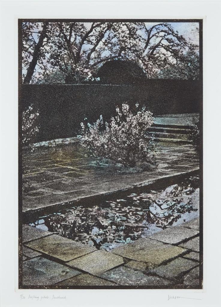 Jennifer Joan Dickson (1936) - Drifting Petals: Penshurst