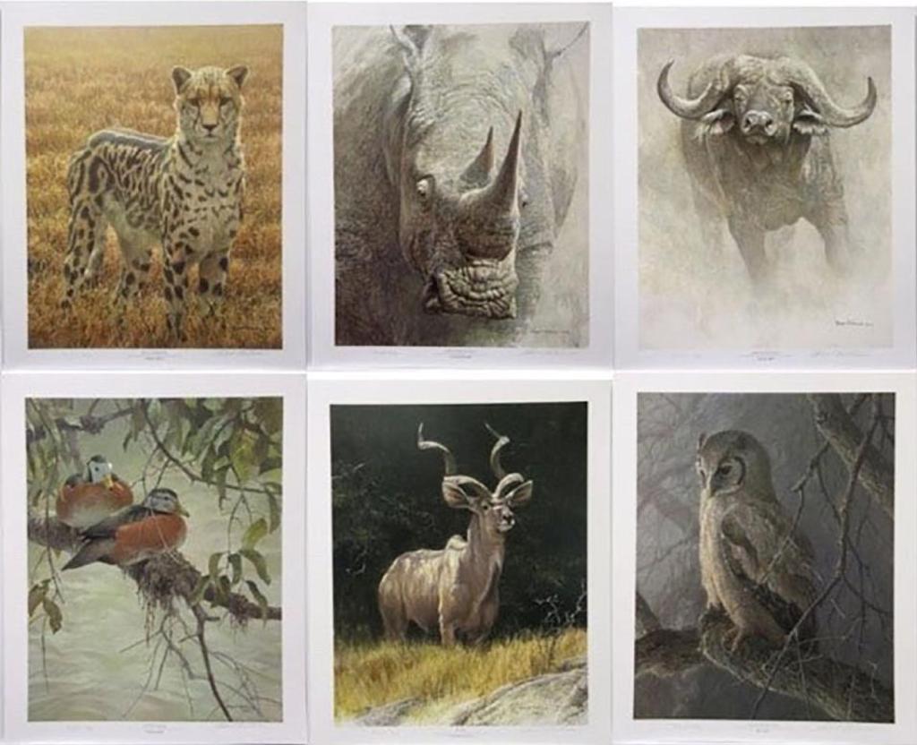 Robert Mclellan Bateman (1930-1922) - The Sappi Portfolio (Robert Bateman's Southern African Safari)