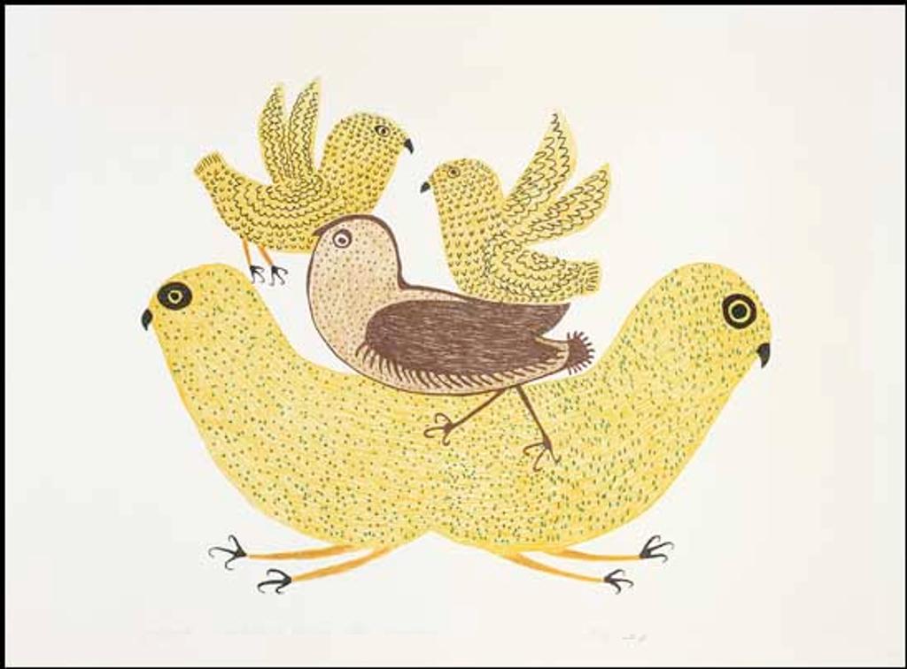 Lucy Qinnuayuak (1915-1982) - Young Birds