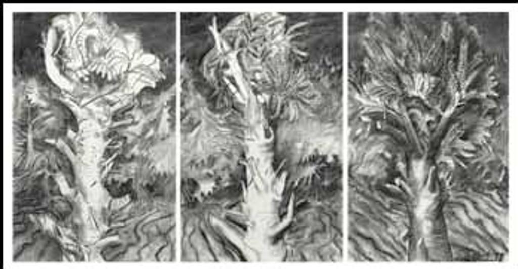 Jack Leaonard Shadbolt (1909-1998) - Stump Clearing