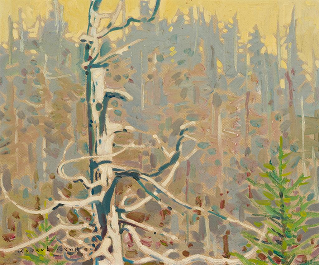 Robert Douglas Genn (1936-2014) - Tree on Radar Hill