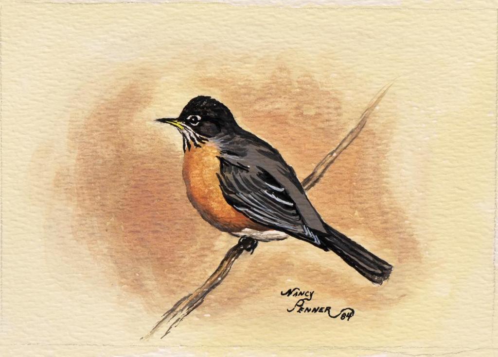 Nancy Penner - Untitled - Robin