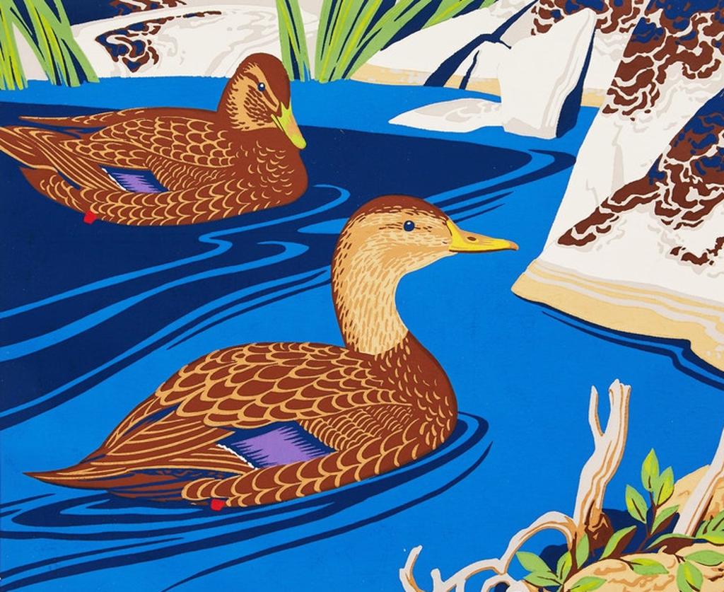 Alfred Joseph (A.J.) Casson (1898-1992) - Black Duck