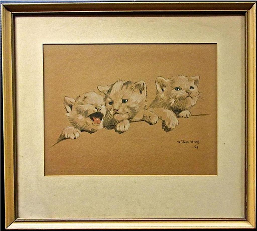 H. Ross Wiggs - Kitten Studies