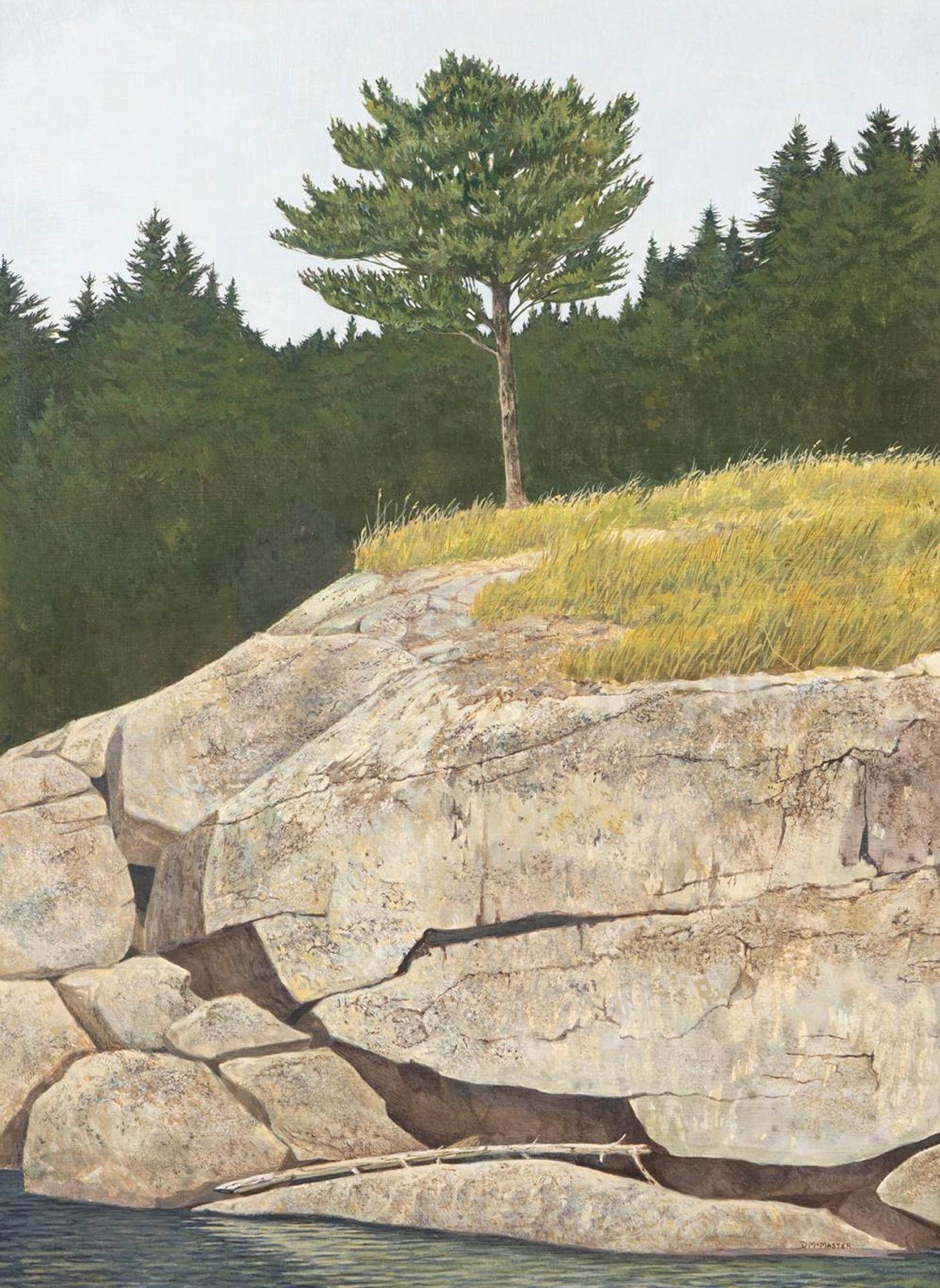 Don Mcmaster - Untitled - Rock Shore