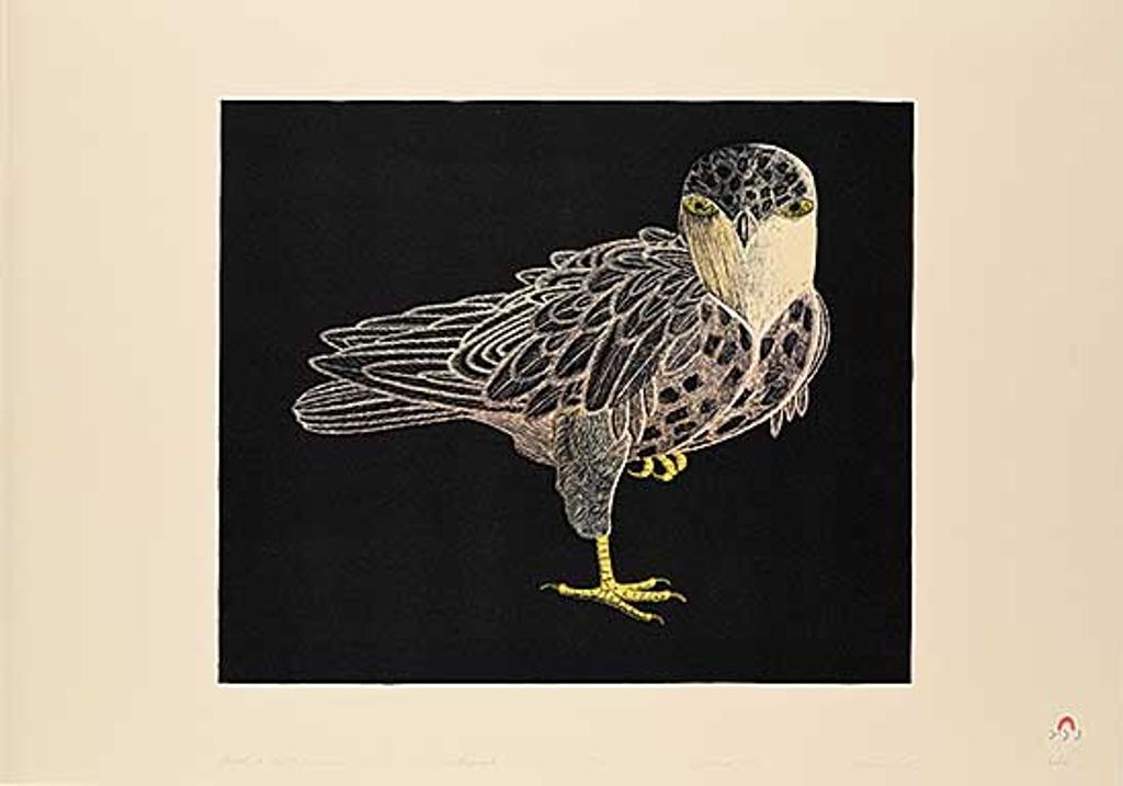 Kananginak Pootoogook (1935-2010) - Hawk in Winter Darkness #14/70