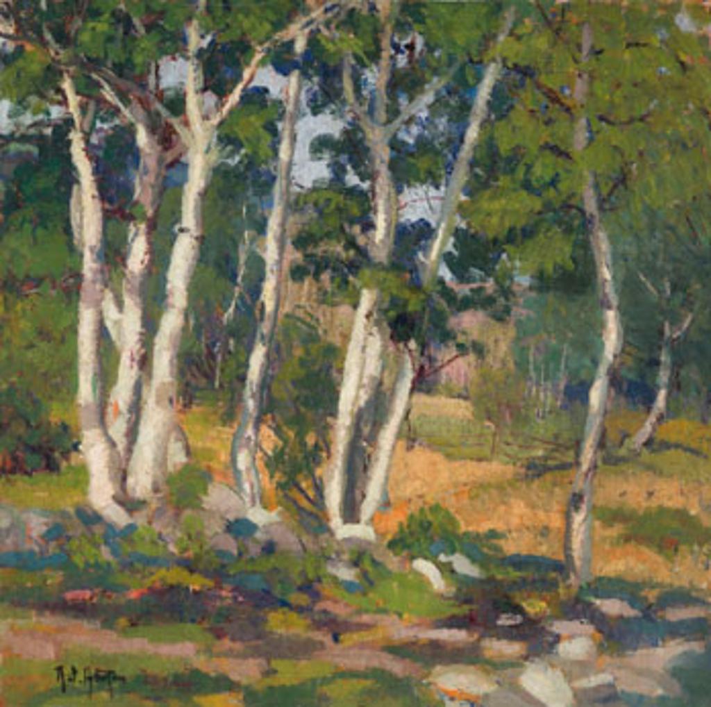 Randolph Stanley Hewton (1888-1960) - Birch Trees, Summer