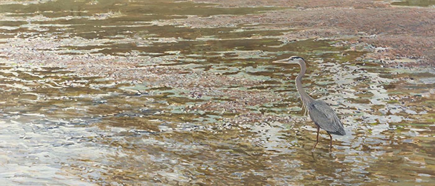 Ron Kingswood (1959) - Great Blue Heron