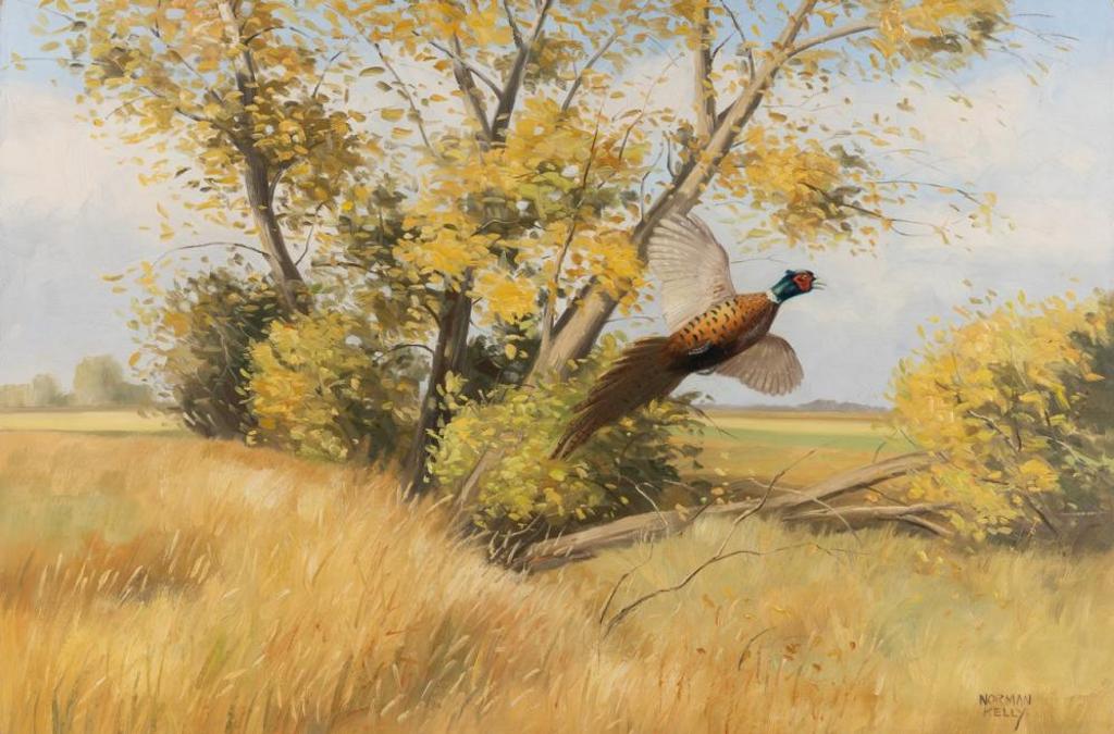 Norman Kelly (1939) - Cock Pheasant