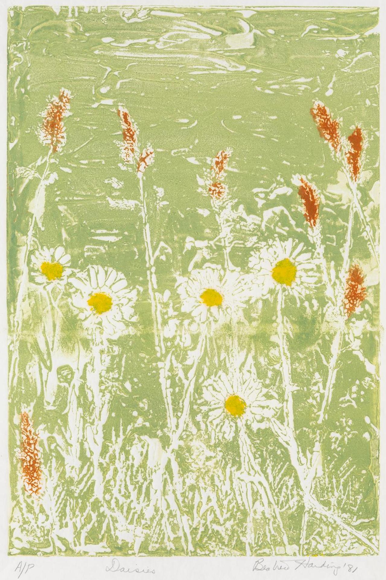 Beatrice Harding (1913-2006) - Daisies