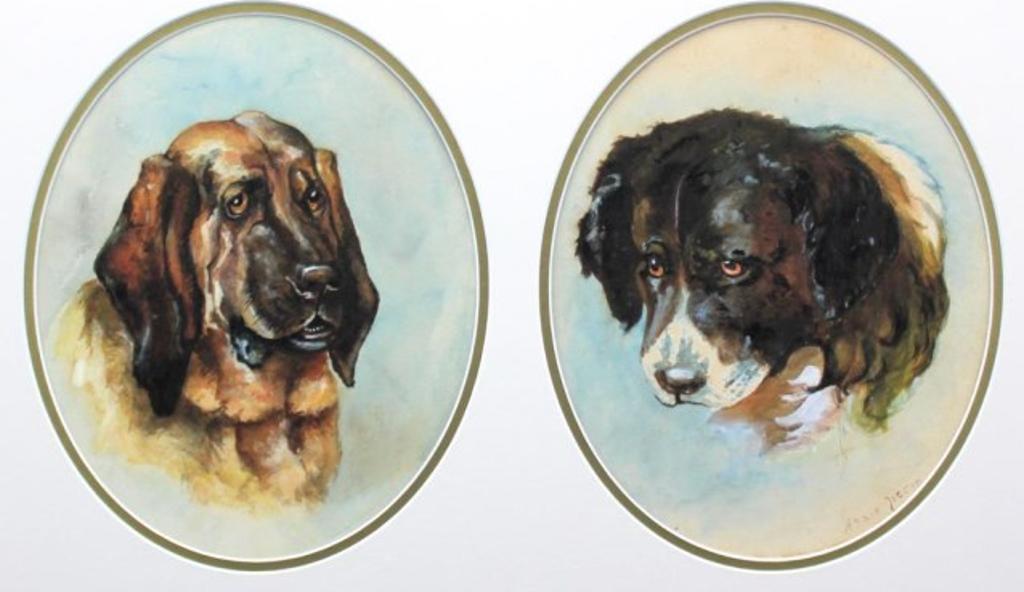 Annie Litton - St. Bernard and Hound