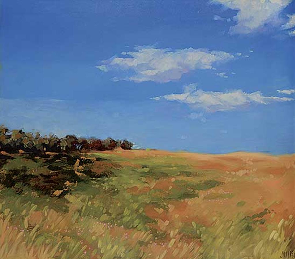 Janine M. Bruneau - Meadow II