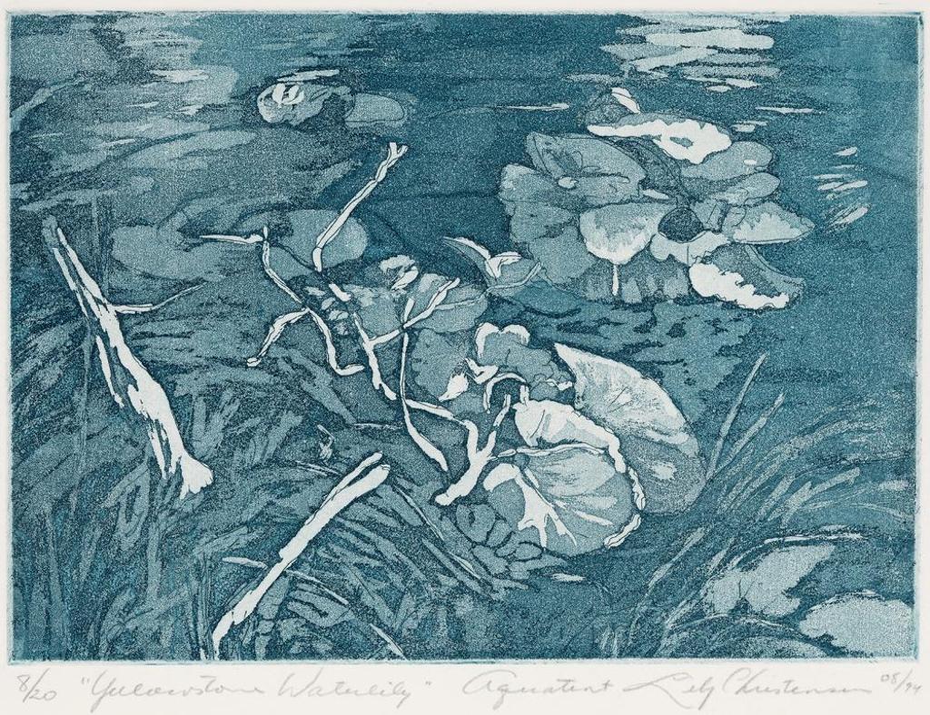 Lily Christensen-Dutchak - Yellowstone Water Lily