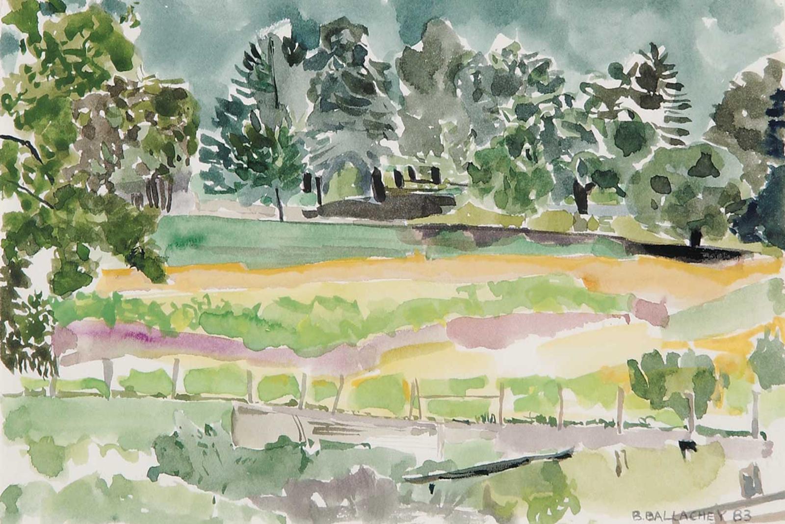 Barbara Ballachey (1949) - Untitled - My Meadow