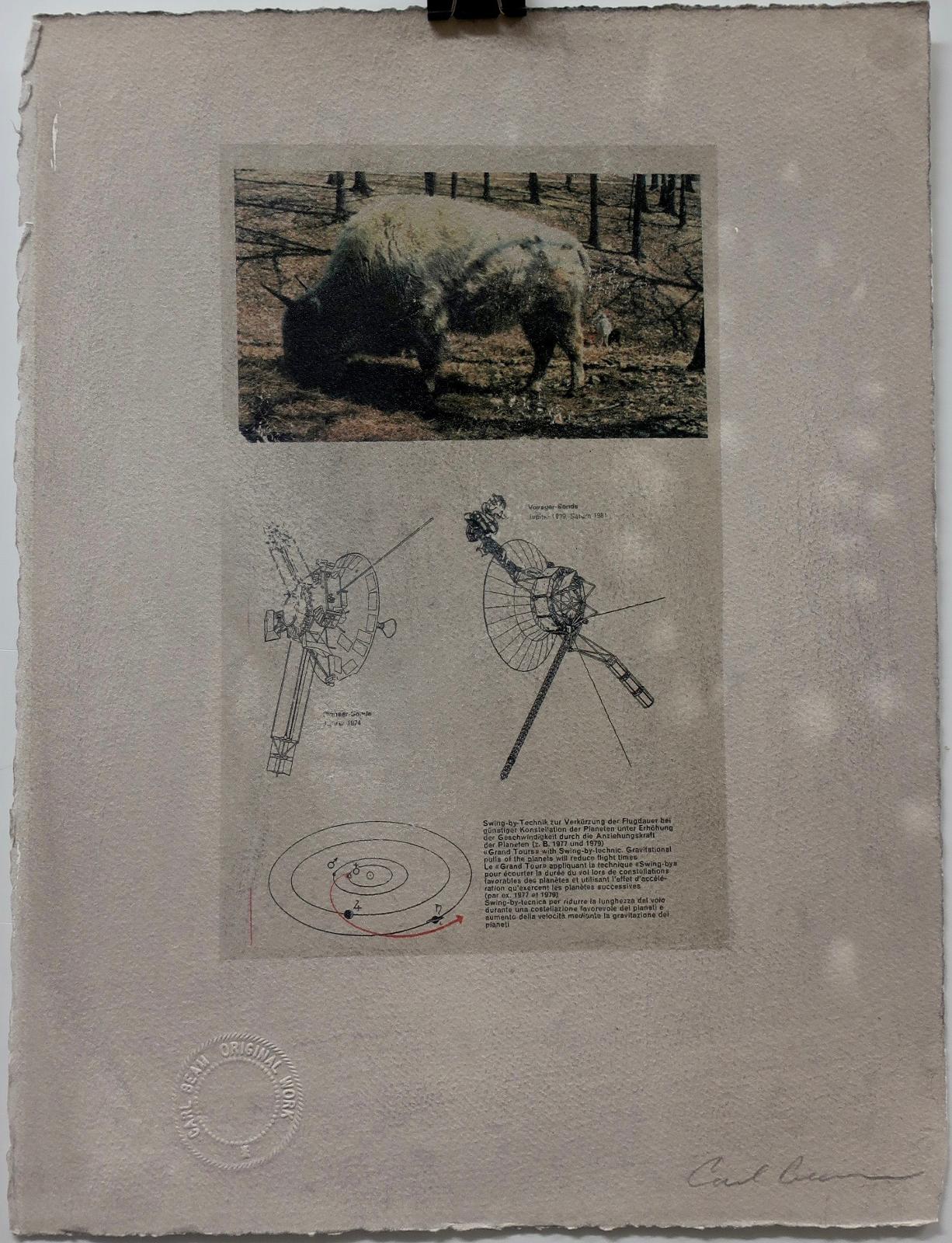 Carl Beam (1943-2005) - Buffalo-Voyager (Jupiter/Saturn)