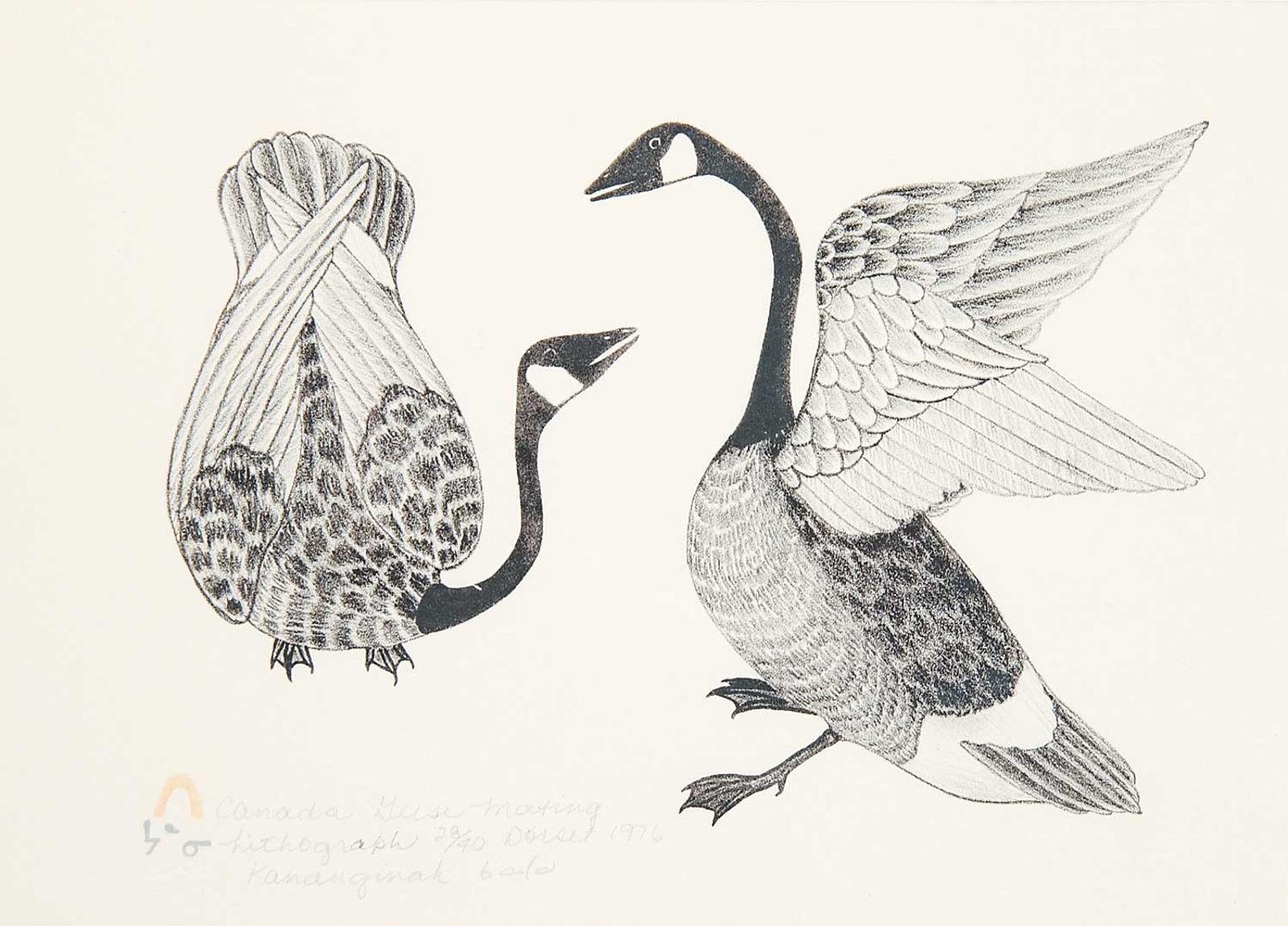 Pootoogook (1887-1958) - Canada Geese Mating #28/40