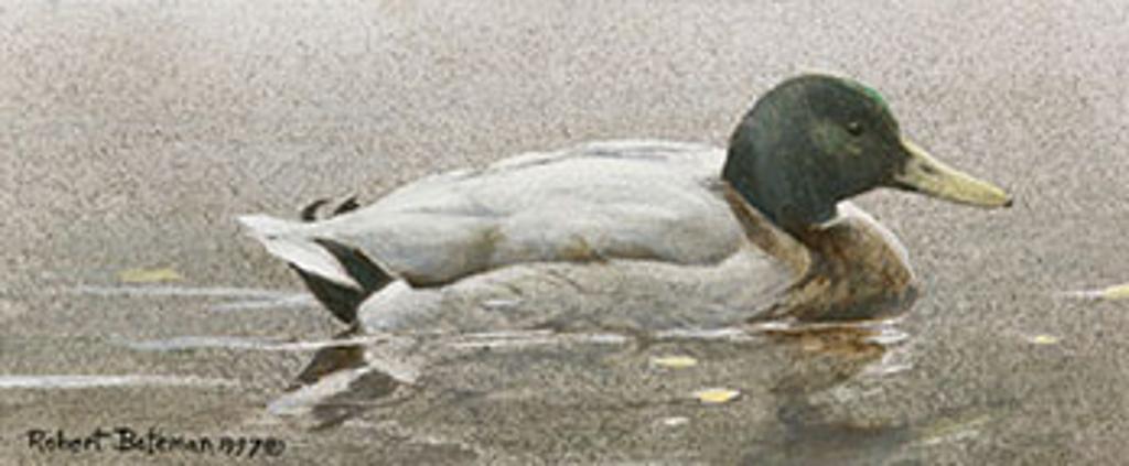 Robert Mclellan Bateman (1930-1922) - Mallard Duck