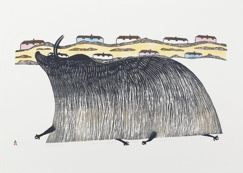 Pudlo Pudlat (1916-1992) - Musk Ox On Sea Ice