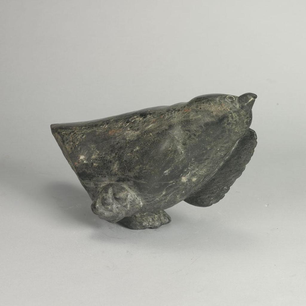 Kaka Ashoona (1928-1996) - Bird