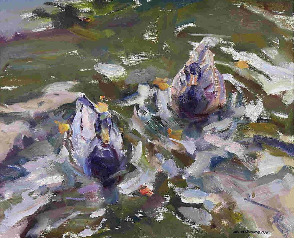 Fred Cameron (1937) - Ducks, Reifel Refuge
