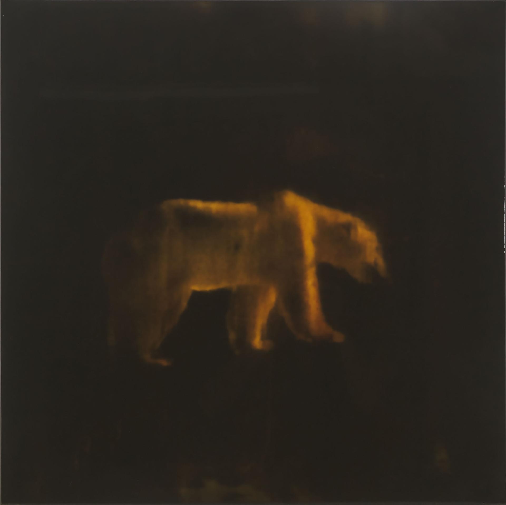 Joshua Jensen-Nagle (1981) - Not Sure Where I Am Going (Small Edition), 2007