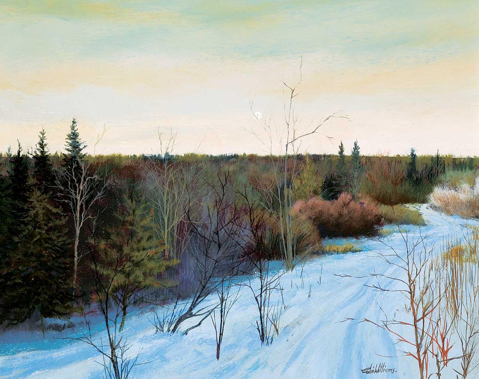 Colin E. Williams (1935) - Untitled - Winter Ski Trail