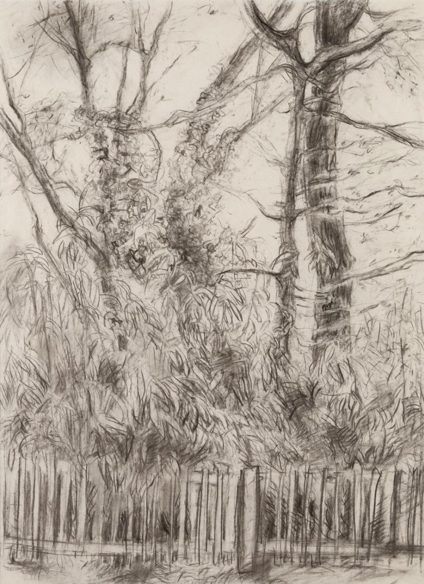 Cameron Ian MacLeod (1958-1983) - Woods on Vancouver