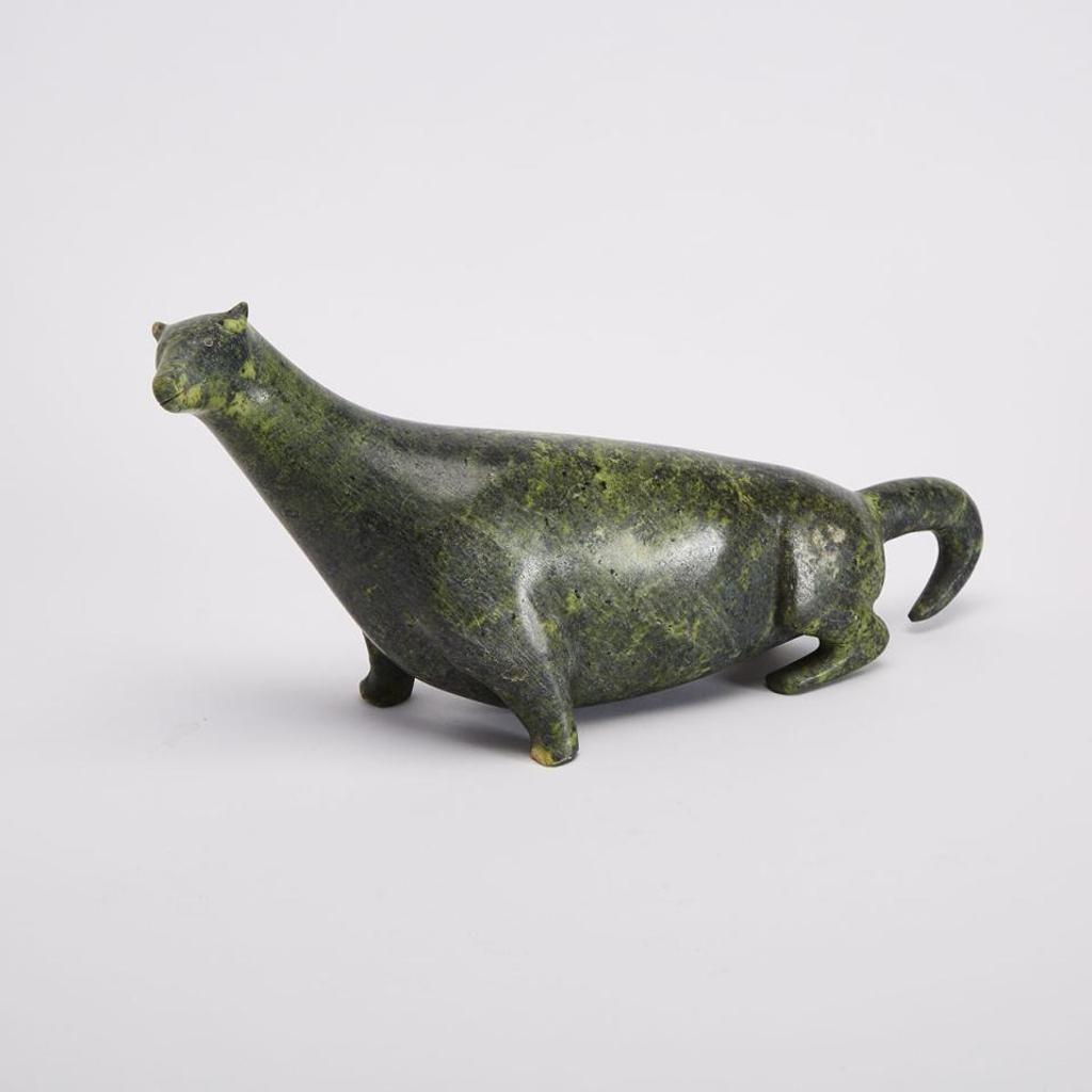 Sagiassie Pilipusi - Dog