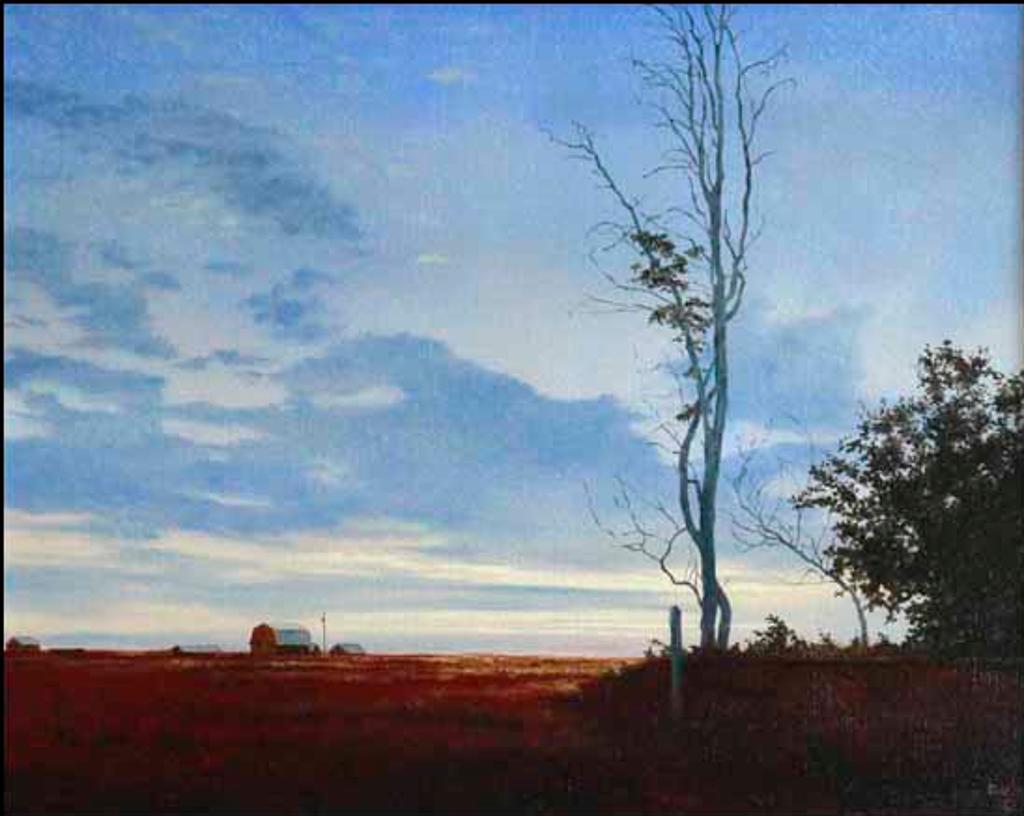 Ted Raftery (1938) - Dalroy Sunset (02506/2013-1786)