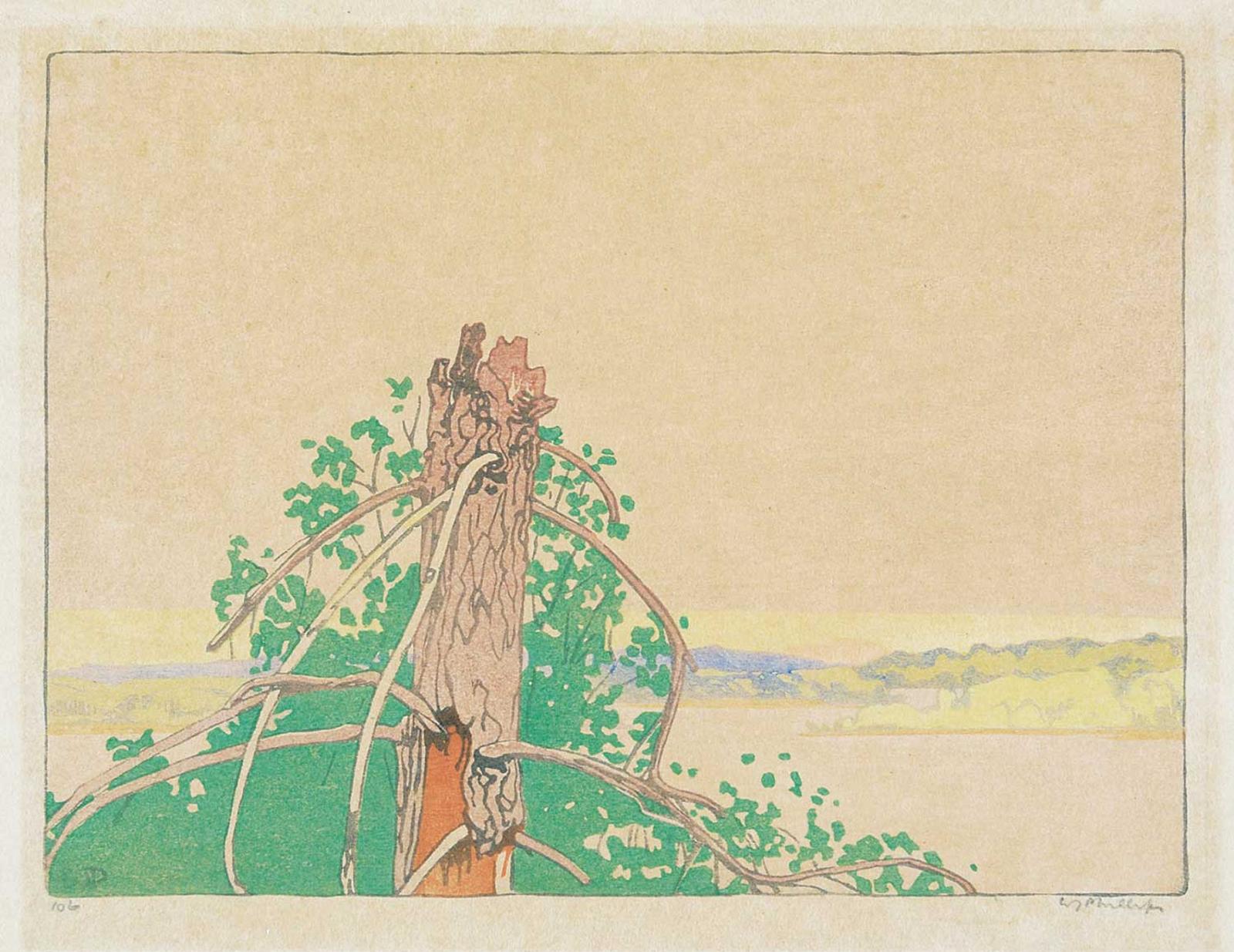 Walter Joseph (W.J.) Phillips (1884-1963) - The Stump #106